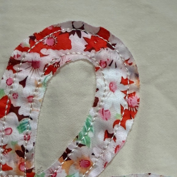 NWOT Online Boutique Floral Appliqué Beige Long Sleeve Top - Picture 4 of 11